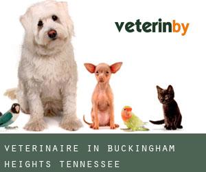 Veterinaire in Buckingham Heights (Tennessee)