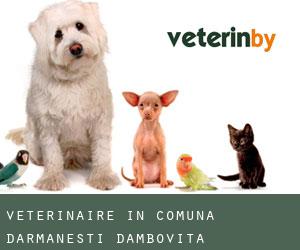 Veterinaire in Comuna Dărmăneşti (Dâmboviţa)