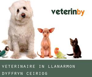 Veterinaire in Llanarmon Dyffryn-Ceiriog