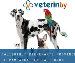 Calibutbut dierenarts (Province of Pampanga, Central Luzon)