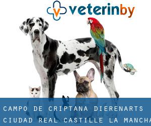 Campo de Criptana dierenarts (Ciudad Real, Castille-La Mancha)