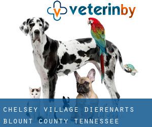 Chelsey Village dierenarts (Blount County, Tennessee)
