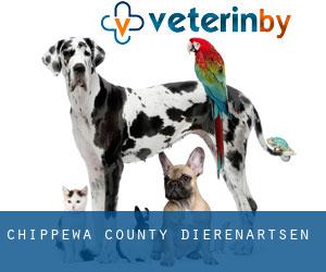 Chippewa County dierenartsen