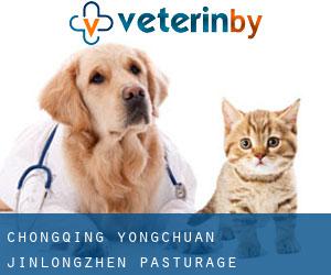 Chongqing Yongchuan Jinlongzhen Pasturage Veterinary Station