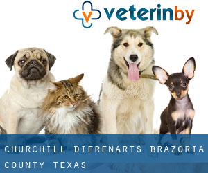Churchill dierenarts (Brazoria County, Texas)