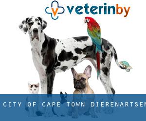 City of Cape Town dierenartsen