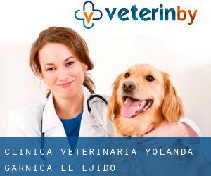 Clinica Veterinaria Yolanda Garnica (El Ejido)