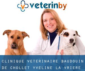 Clinique Vétérinaire Baudouin-De Chollet Yveline (La Vrière)