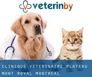 Clinique Vétérinaire Plateau Mont-Royal (Montreal)