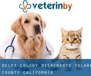 Delft Colony dierenarts (Tulare County, California)