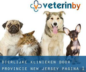 dierlijke klinieken door Provincie (New Jersey) - pagina 1