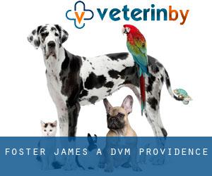 Foster James a DVM (Providence)