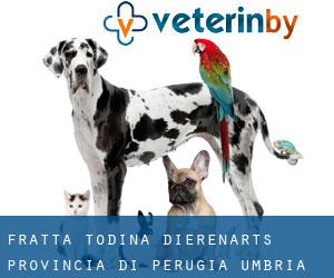 Fratta Todina dierenarts (Provincia di Perugia, Umbria)
