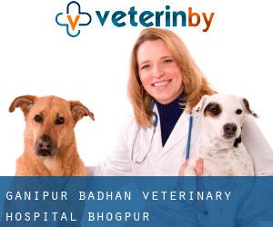 Ganipur Badhan Veterinary Hospital (Bhogpur)