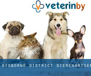 Gisborne District dierenartsen