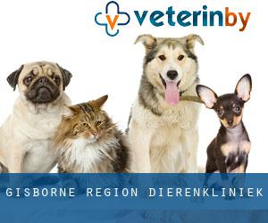 Gisborne Region dierenkliniek