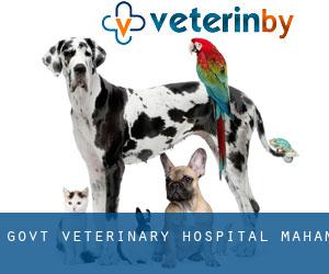 Govt Veterinary Hospital (Maham)