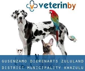 Gusenzamo dierenarts (Zululand District Municipality, KwaZulu-Natal)