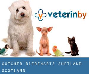 Gutcher dierenarts (Shetland, Scotland)