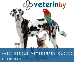 Hasi Gerile Veterinary Clinics (Tianshan)