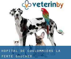Hôpital de Coulommiers (La Ferté-Gaucher)