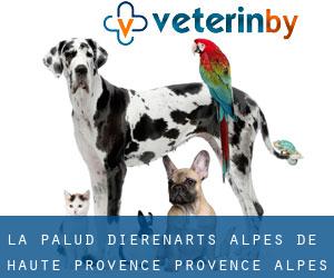 La Palud dierenarts (Alpes-de-Haute-Provence, Provence-Alpes-Côte d'Azur)