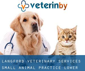Langford Veterinary Services Small Animal Practice (Lower Langford)