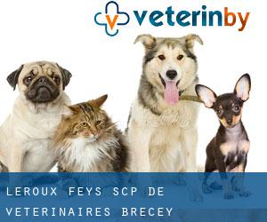 Leroux Feys SCP de Vétérinaires (Brécey)