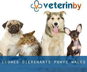 Llowes dierenarts (Powys, Wales)