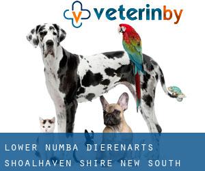 Lower Numba dierenarts (Shoalhaven Shire, New South Wales)