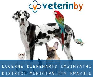 Lucerne dierenarts (uMzinyathi District Municipality, KwaZulu-Natal)