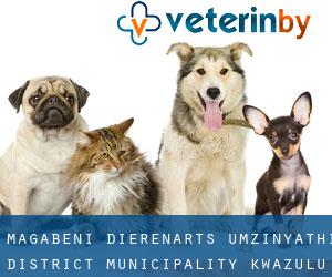 Magabeni dierenarts (uMzinyathi District Municipality, KwaZulu-Natal)