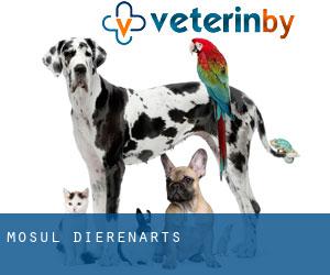 Mosul dierenarts Mosul dierenarts