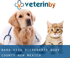 Nara Visa dierenarts (Quay County, New Mexico)