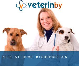 Pets at Home (Bishopbriggs)