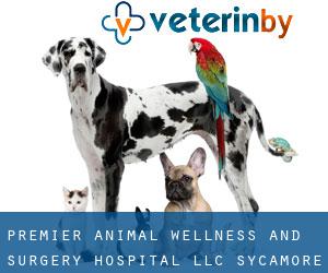 Premier Animal Wellness and Surgery Hospital, LLC (Sycamore)