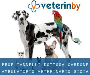 Prof. Iannelli Dott.ssa Cardone ambulatorio veterinario (Gioia Tauro)