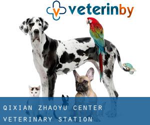 Qixian Zhaoyu Center Veterinary Station