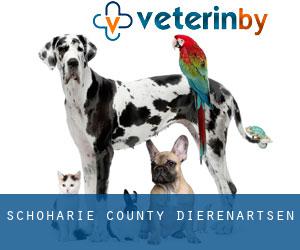 Schoharie County dierenartsen