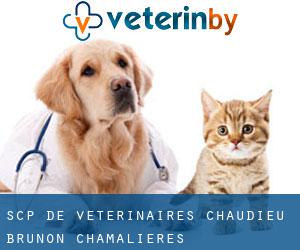 SCP de Vétérinaires Chaudieu Brunon (Chamalières)
