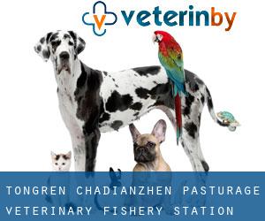 Tongren Chadianzhen Pasturage Veterinary Fishery Station