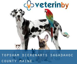 Topsham dierenarts (Sagadahoc County, Maine)