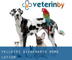 Velletri dierenarts (Rome, Latium)