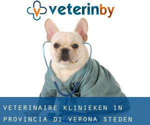 veterinaire klinieken in Provincia di Verona (Steden) - pagina 1