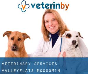 Veterinary Services Valleyflats (Moosomin)