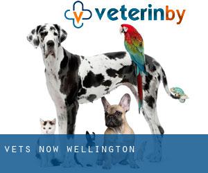 Vets Now (Wellington)