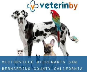 Victorville dierenarts (San Bernardino County, California)
