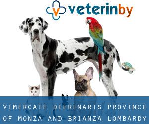 Vimercate dierenarts (Province of Monza and Brianza, Lombardy)