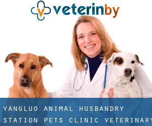 Yangluo Animal Husbandry Station Pets Clinic Veterinary Drug Feedstuff (Guanshang)