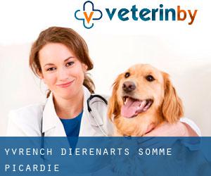 Yvrench dierenarts (Somme, Picardie)